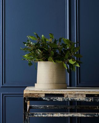 Robert Gordon Garden to Table Plant Pot | Pot &amp; Tray Set