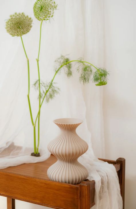 Illusion Vase