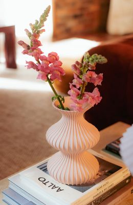 Illusion Vase