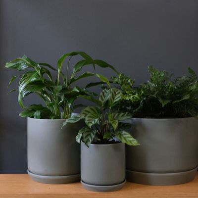 Oslo Planters