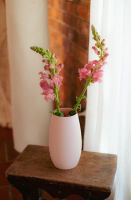 Boab Vase
