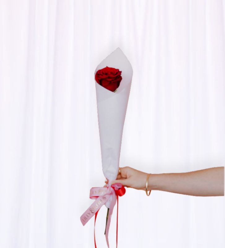 Valentine’s Day Single Rose
