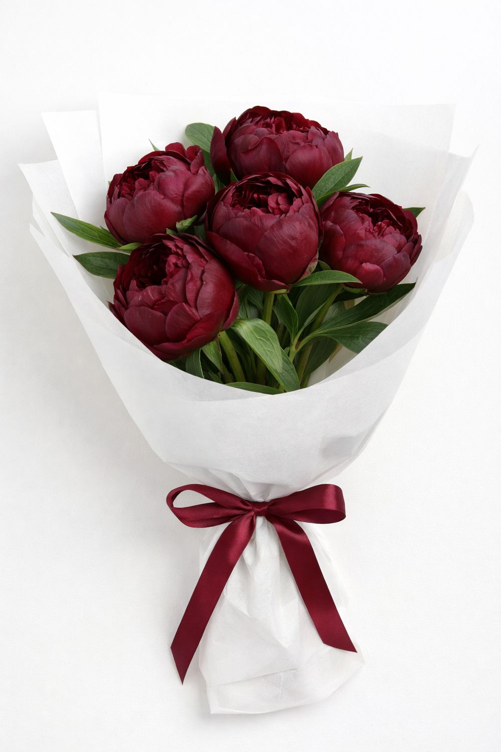 Valentine's Day Peony Bouquet, Selections: Burgundy Peonies  - No Card