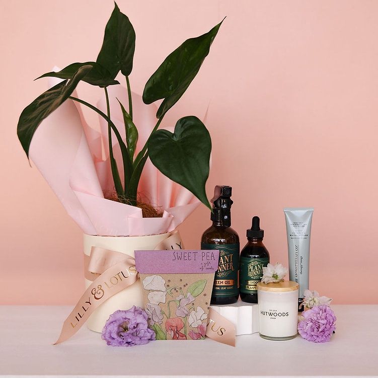 Plant Lovers' Essentials Hamper