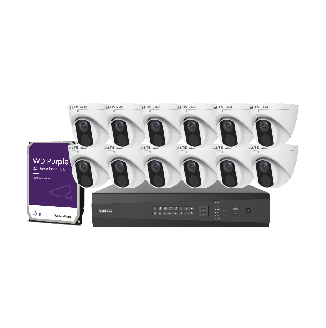 Video Security Bundle – Twelve Pro-VS 4 MP Fixed Turret IP Cameras (VSIP3442W-28MA), One Pro-VS 32-Channel NVR (VSN7432-P16), & One Western Digital Purple 3 TB Hard Drive (DHWD30PURX) Video Security Bundle – Twelve Pro-VS 4 MP Fixed Turret IP Cameras (VSIP3442W-28MA), One Pro-VS 32-Channel NVR (VSN7432-P16), & One Western Digital Purple 3 TB Hard Drive (DHWD30PURX)