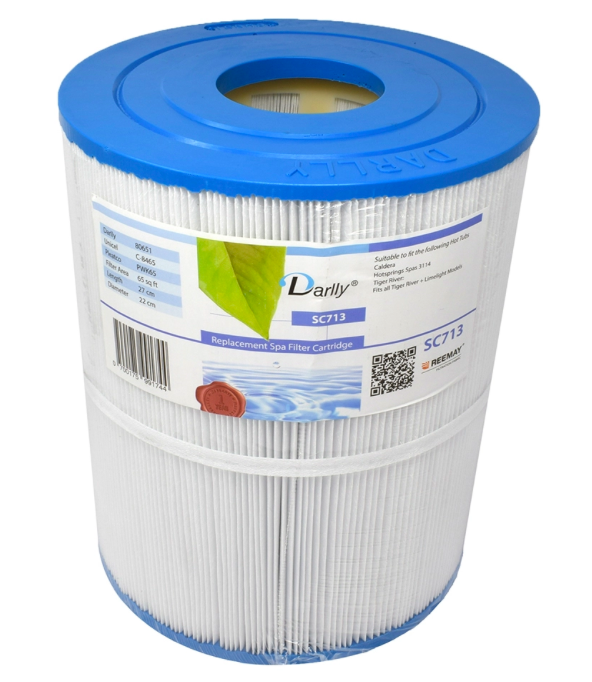Filtre Spa Darlly 80651
