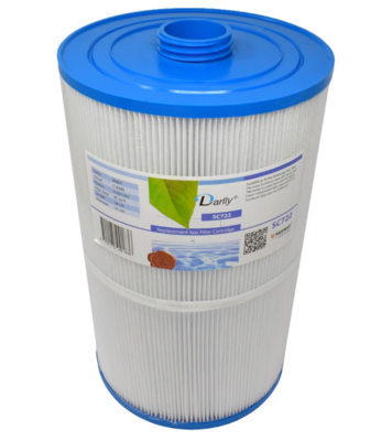 Filtre Spa Darlly 80801