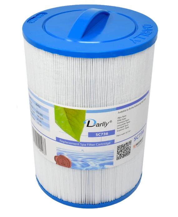 Filtre Spa Darlly 60402