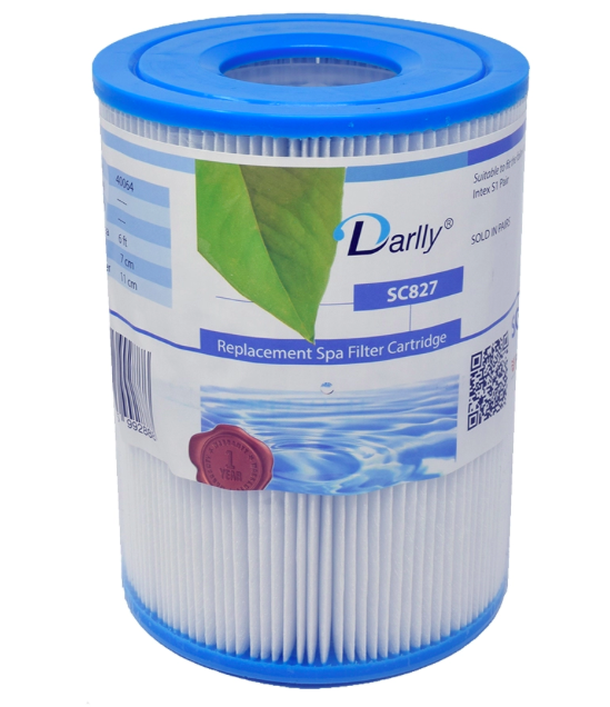 Filtre Intex S1 Darlly 40064