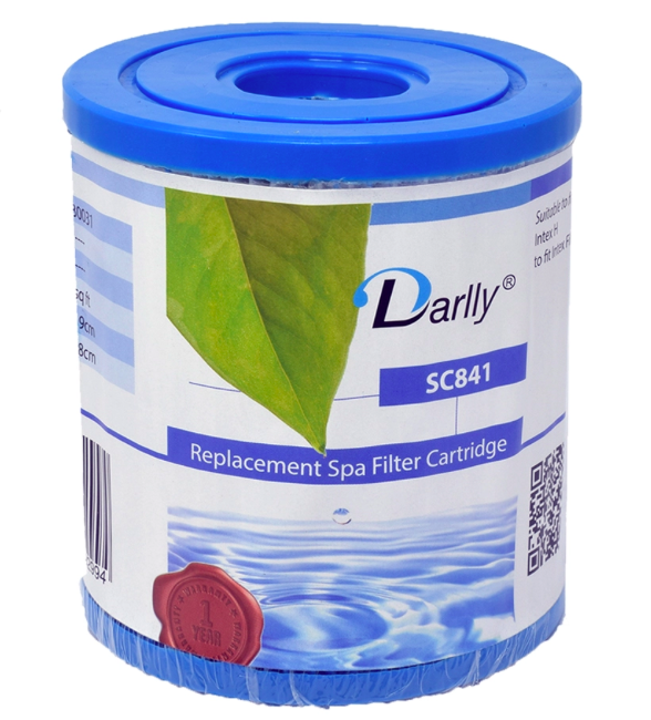 Filtre Intex Darlly 30031