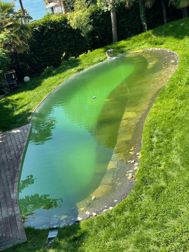 Nettoyage Piscine, Spa, Jacuzzi/Forfait