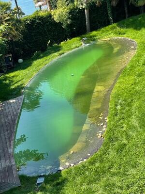 Nettoyage Piscine, Spa, Jacuzzi/Forfait