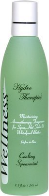 Aromathérapie Wellness - menthe  spa jacuzzi