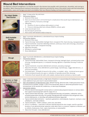 Wound Bed Interventions Quick Reference Guide