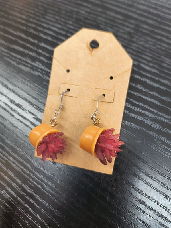 Succ it! Handmade potted succulent earrings