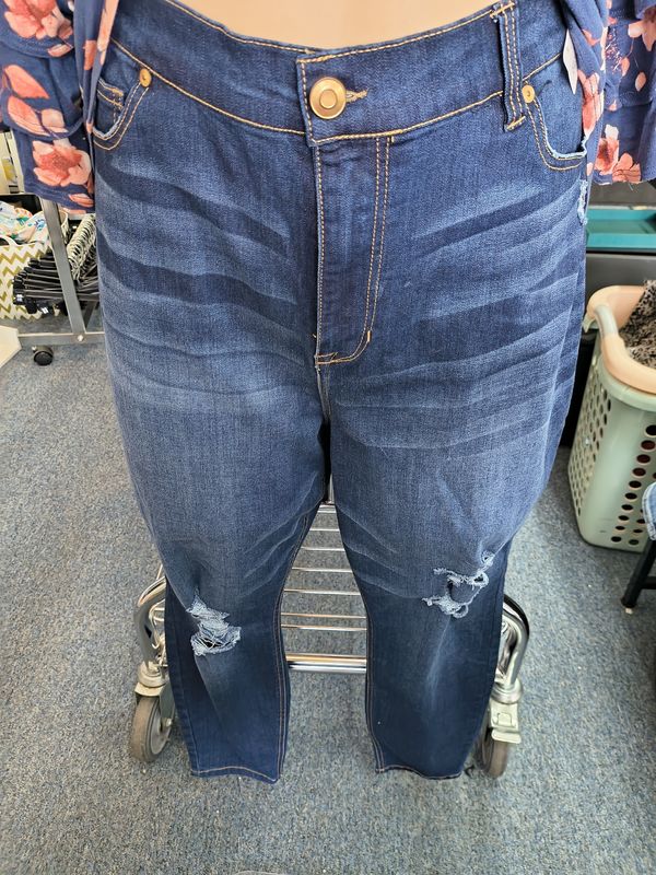 Size 18 A Beautiful Soul The Spice distressed skinny jeans