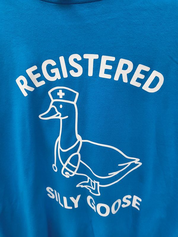 Registered Silly Goose blue graphic tee Kitsch 4x