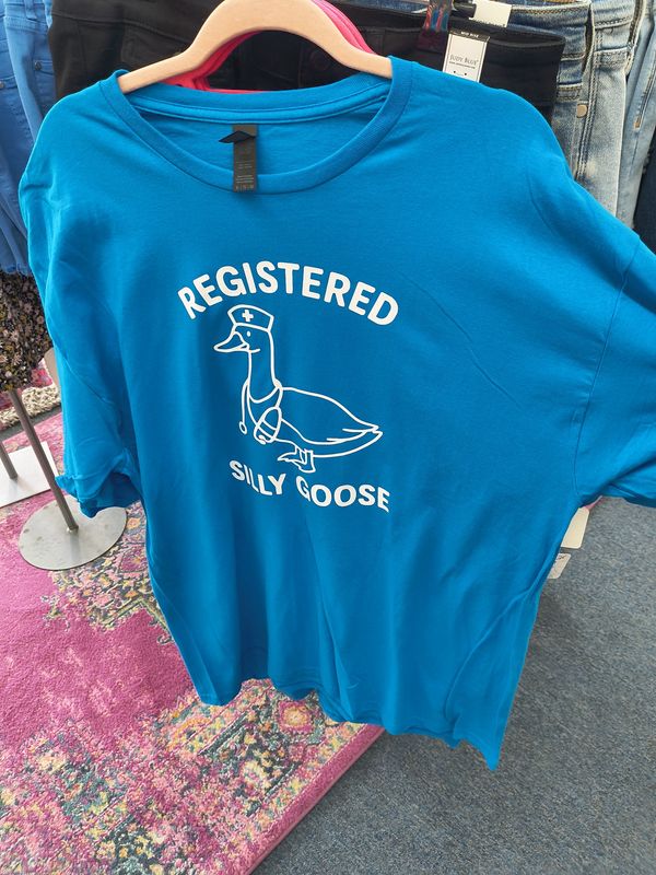 Registered Silly Goose blue graphic tee Kitsch 5x