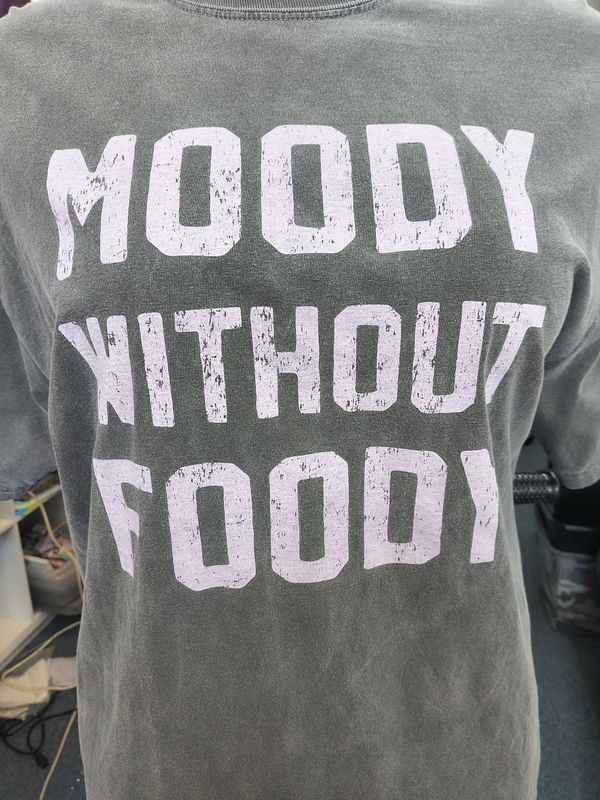 2x Comfort Colors gray graphic tee Moody Without Foody