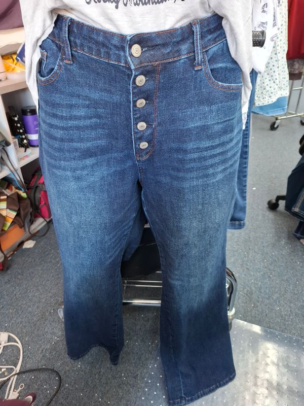 22W Judy Blue straight leg fit button fly jeans stretchy