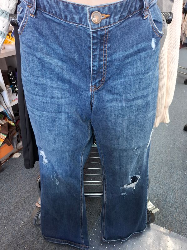 24 Lane Bryant low rise bootcut jeans distressed