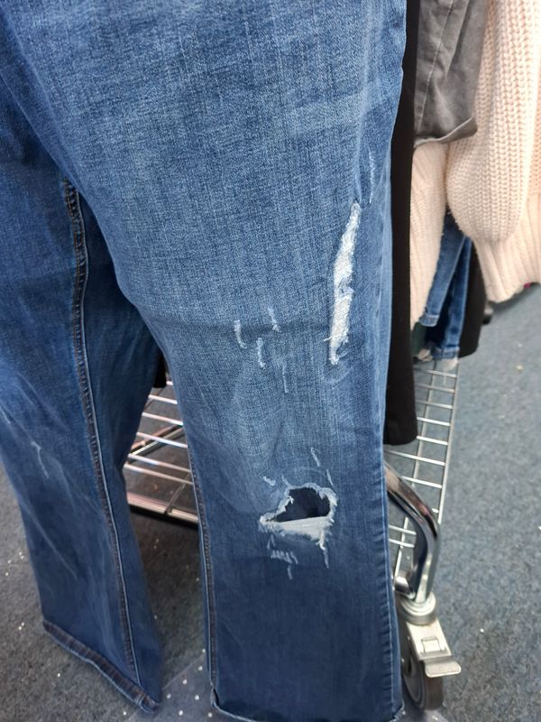 24 Lane Bryant low rise bootcut jeans distressed