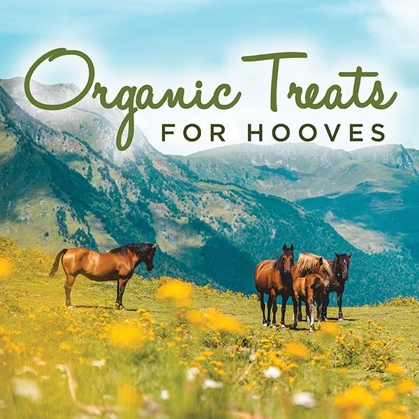 Organic Treats for Hooves