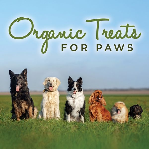 Organic & Natural Treats for Paws