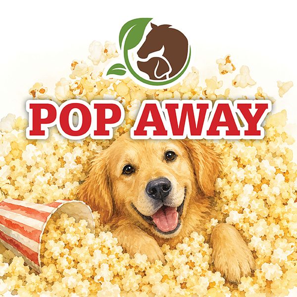 Peanut Butter Maple Organic Popcorn Peanut Butter Maple Organic Popcorn