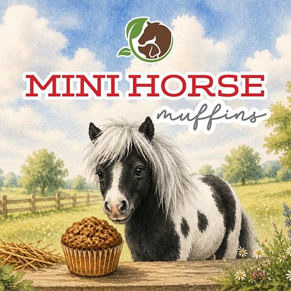 Mini Muffins Mini Muffins