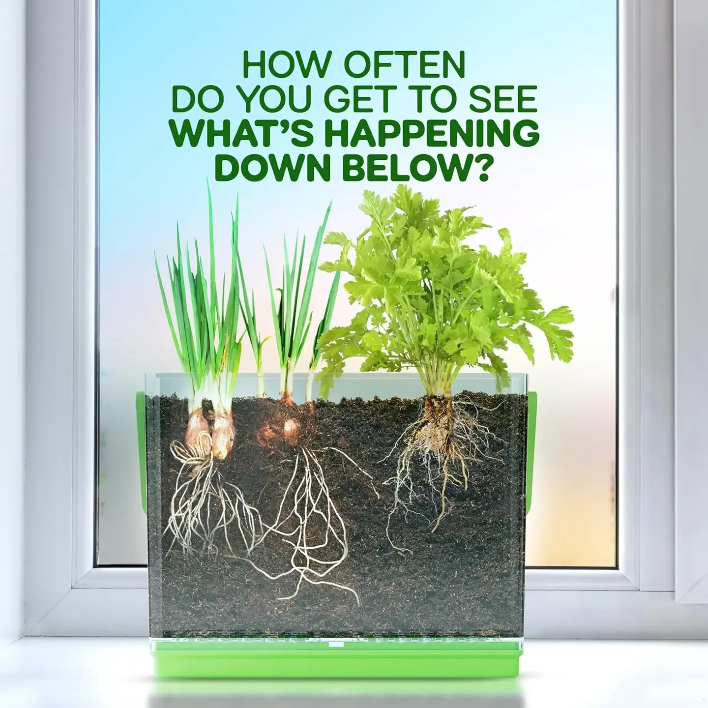 Root Viewer Kit For Kids