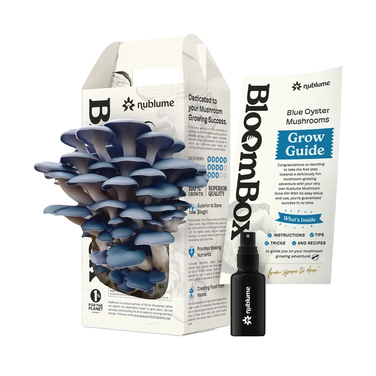 Blue Oyster Mushroom Grow Kit | Indoor Diy Garden Kit