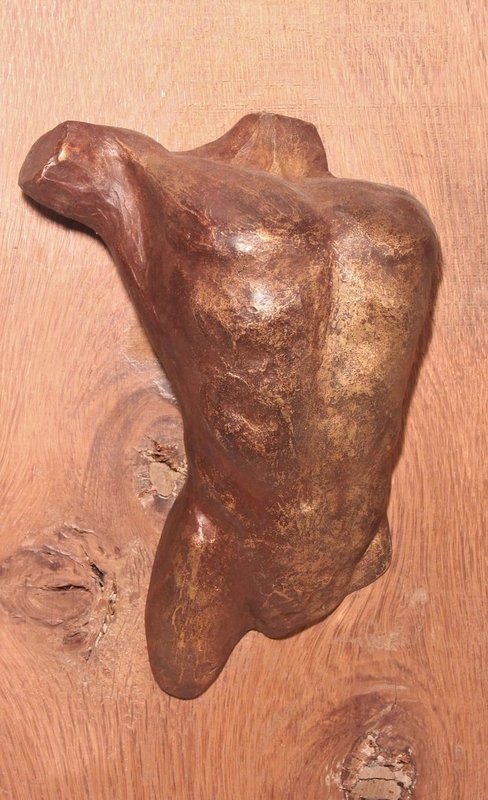 Mannentorso - bronzen reliëf op eikenhout
