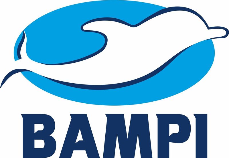 BAMPI
