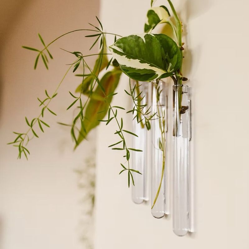 Muurbloempjes 3-pack