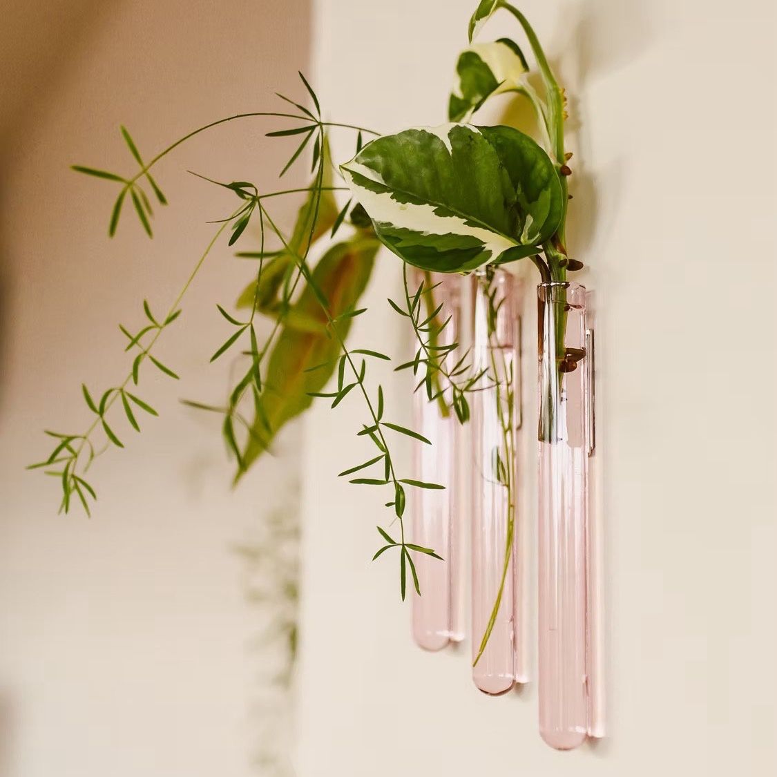 Muurbloempjes 3-pack, Kleur: Pink