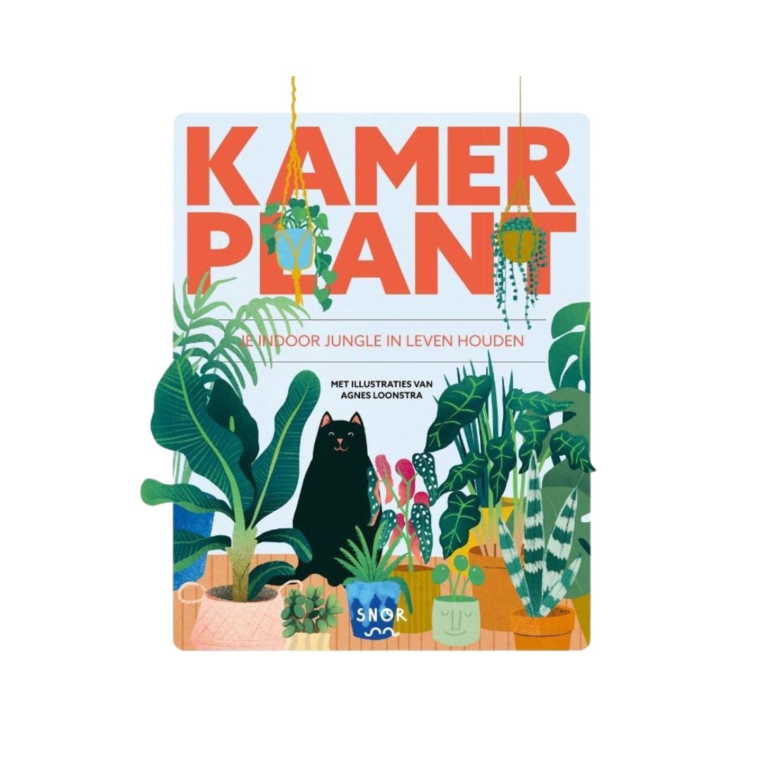 Kamerplant