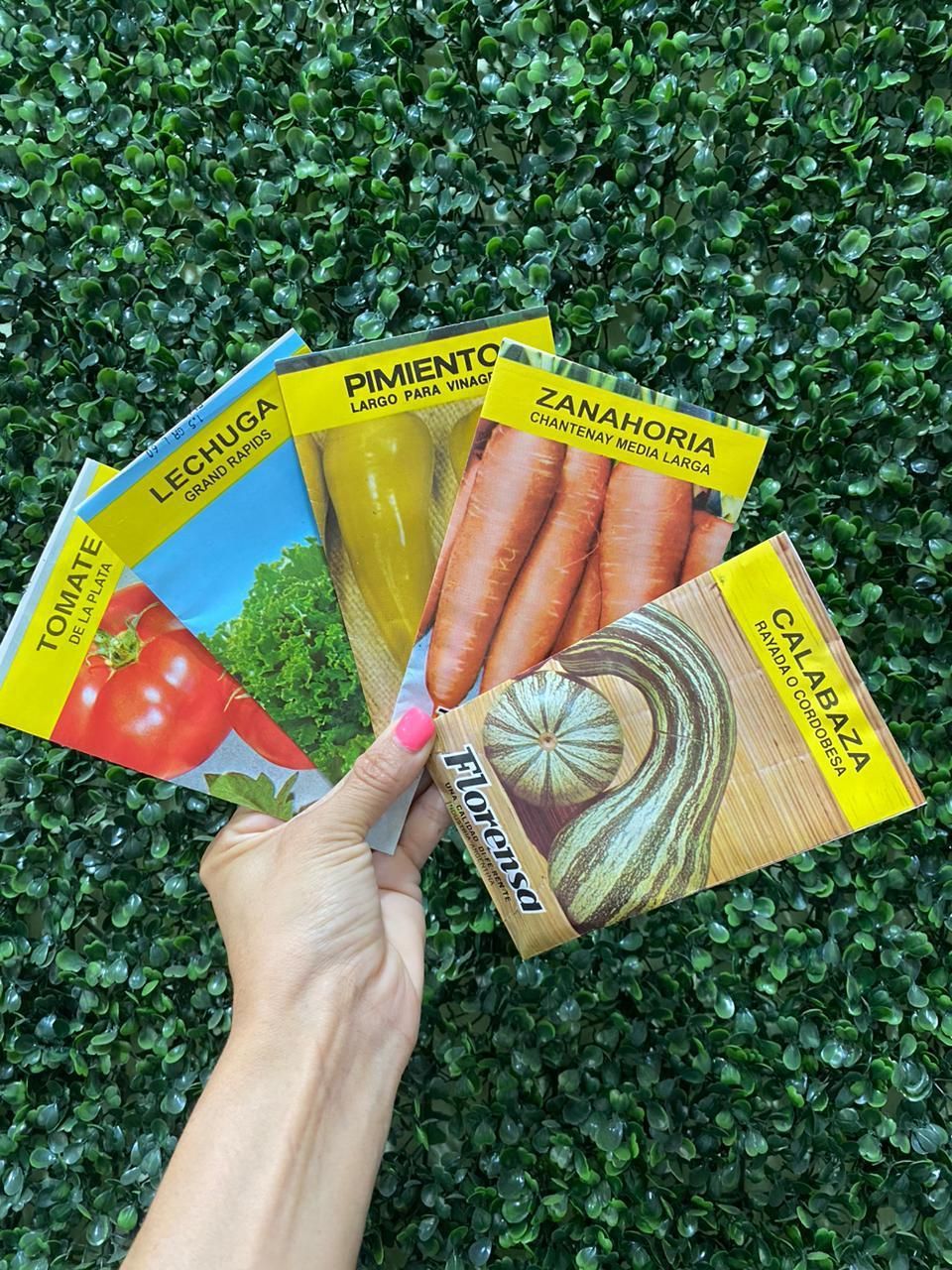 Semillas de hortalizas