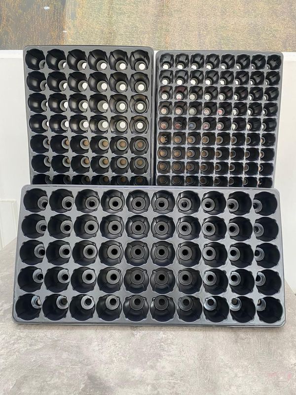 Bandejas germinadoras