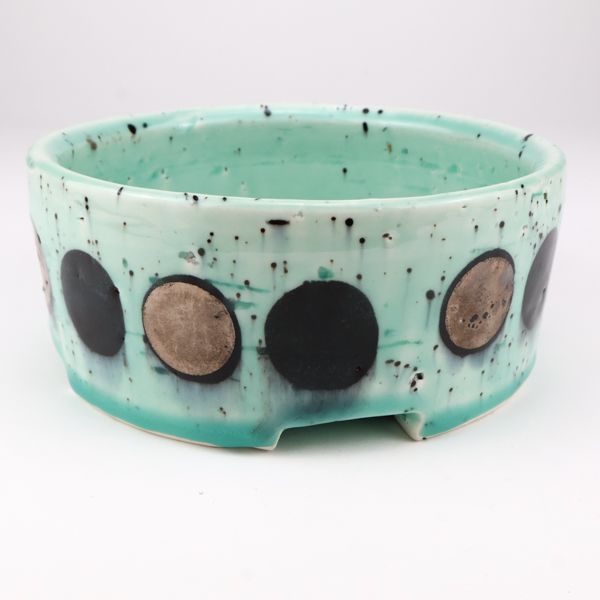 D Mert, dish, fur bb, 2