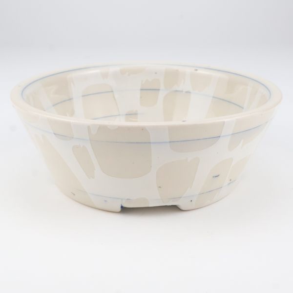 D Mert, White Dog Dish, 1