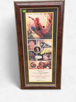 Framed Spider-Man Promotional Print