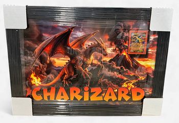 Charizard with Mega Charizard X ex card framed print