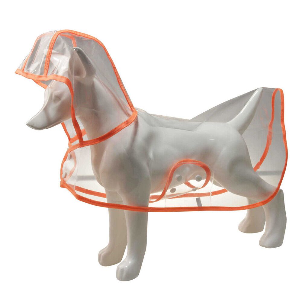 Transparent Dog Raincoat