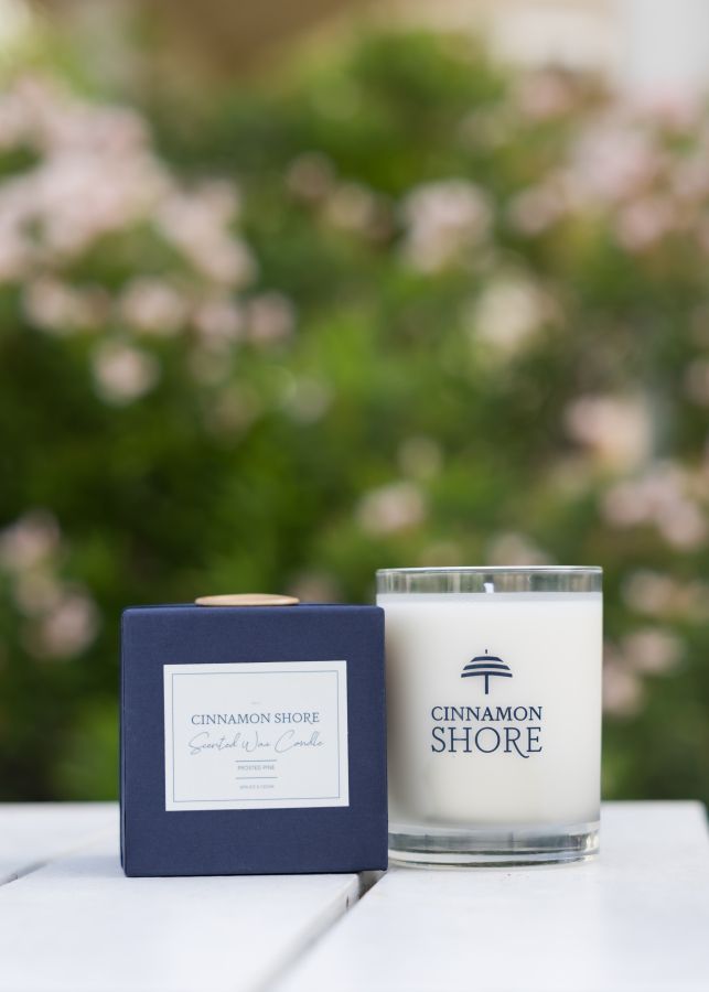 Cinnamon Shore Frosted Pine Candle