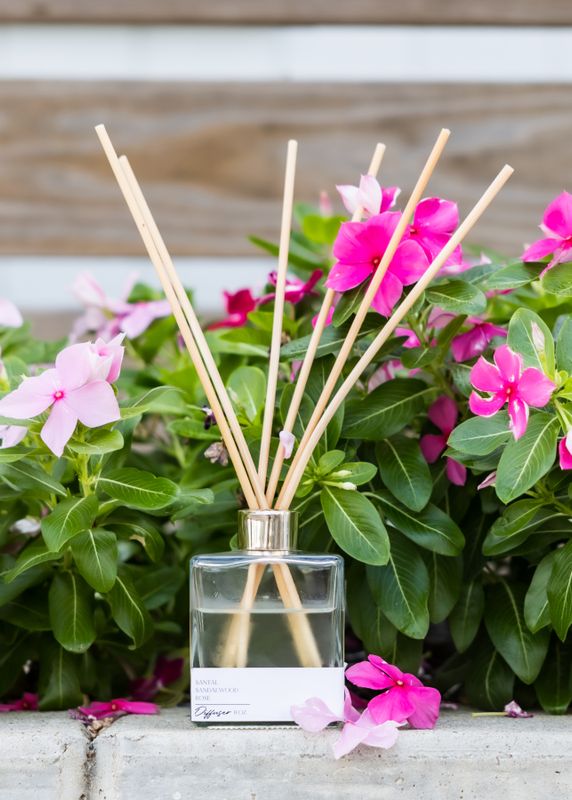 Cinnamon Shore Palo Santo Scent Diffuser