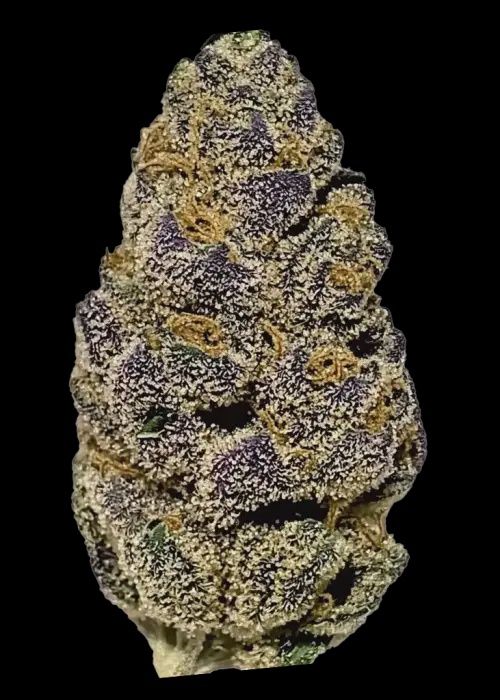 Oreo x Runtz, Weight: 3.5g