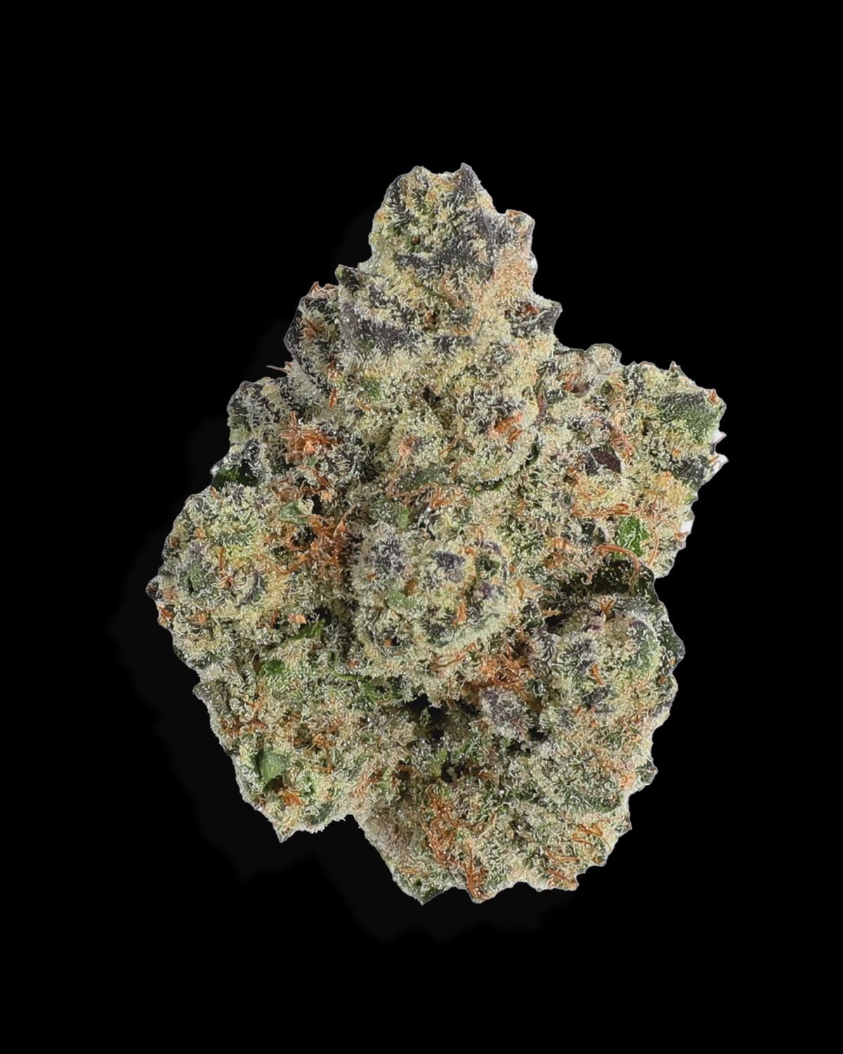 Candy Popz, Weight: 3.5