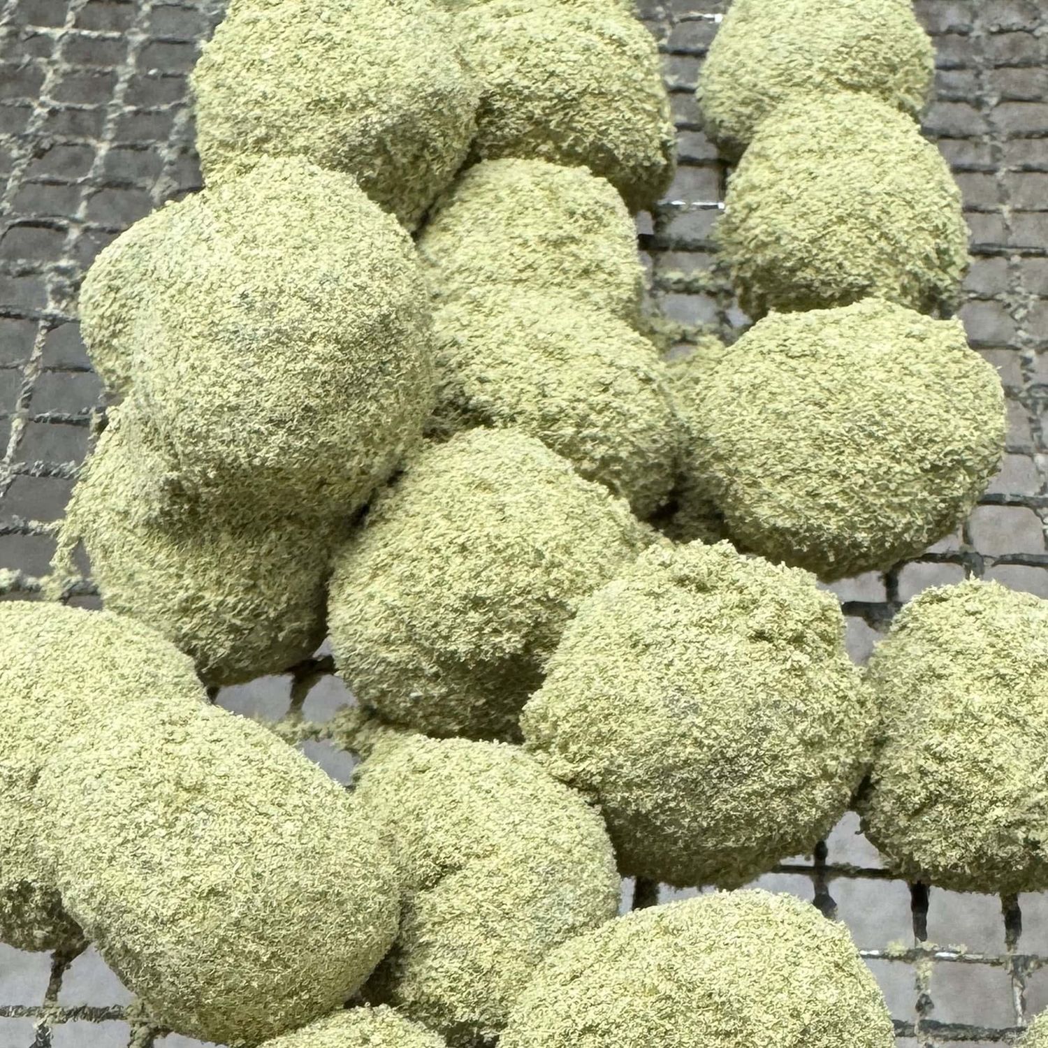 GushMintz Moon Rocks, Weight: 3.5g