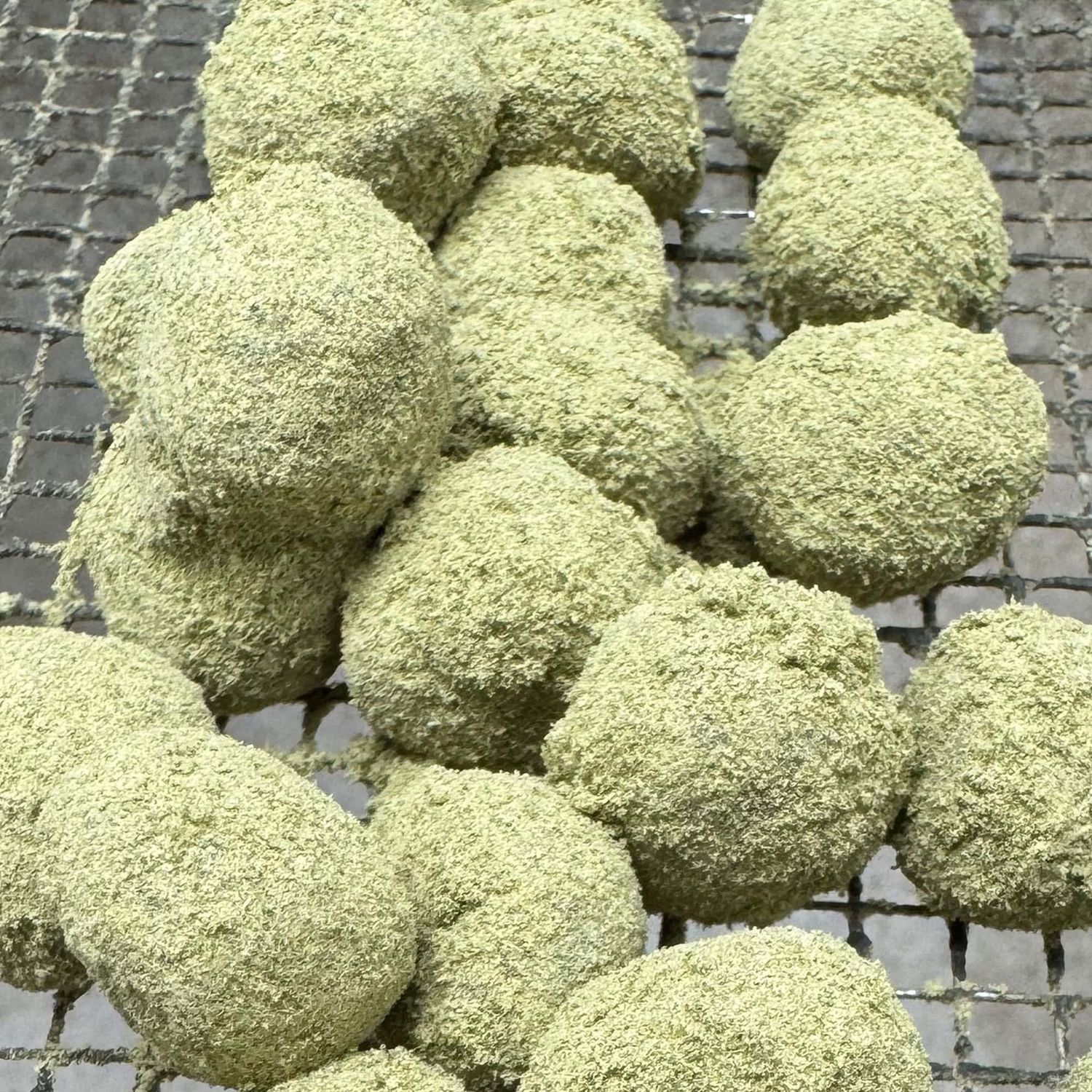GushMintz Moon Rocks, Weight: 3.5g